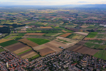 Von-Ketteler-Straße in Mutterstadt im Bundesland Rheinland-Pfalz, Deutschland