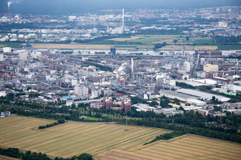 Ortsteil BASF in Ludwigshafen am Rhein im Bundesland Rheinland-Pfalz, Deutschland vom Flugzeug aus