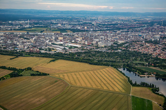 Luftbild von BASF von Westen im Ortsteil Friesenheim in Ludwigshafen am Rhein im Bundesland Rheinland-Pfalz, Deutschland