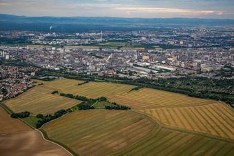 Luftaufnahme von BASF von Westen im Ortsteil Friesenheim in Ludwigshafen am Rhein im Bundesland Rheinland-Pfalz, Deutschland