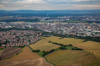 Ortsteil Oppau in Ludwigshafen am Rhein im Bundesland Rheinland-Pfalz, Deutschland aus der Luft