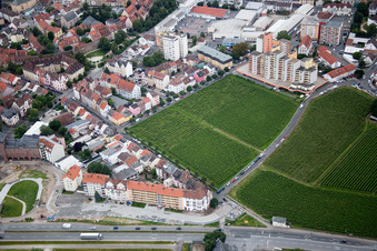 Schrägluftbild von Worms im Bundesland Rheinland-Pfalz, Deutschland