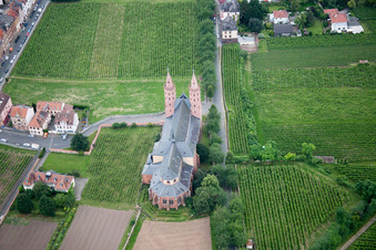 Worms im Bundesland Rheinland-Pfalz, Deutschland von oben