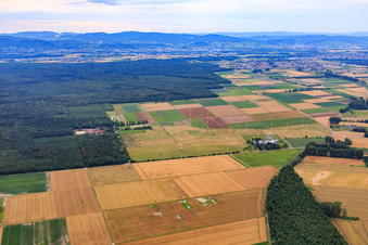 Antennen des Radiosenders der  IBB Biblis am Alten Flugplatz im Bundesland Hessen, Deutschland