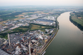 Schrägluftbild von Synthomer Deutschland in Worms im Bundesland Rheinland-Pfalz