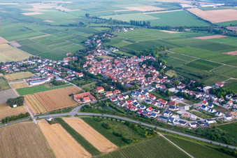 Dorf - Ansicht am Rande von landwirtschaftlichen Feldern und Nutzflächen in Hohen-Sülzen im Bundesland Rheinland-Pfalz, Deutschland