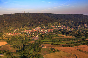 Ortsansicht zu Füßen des Donnersberg aus Osten in Dannenfels im Bundesland Rheinland-Pfalz, Deutschland