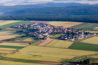 Dorf - Ansicht am Rande von landwirtschaftlichen Feldern und Nutzflächen in Orbis im Bundesland Rheinland-Pfalz, Deutschland