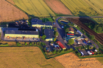 Luftbild von Am Koppelberg in Orbis im Bundesland Rheinland-Pfalz, Deutschland