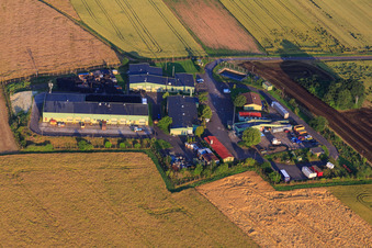 Luftaufnahme von Am Koppelberg in Orbis im Bundesland Rheinland-Pfalz, Deutschland