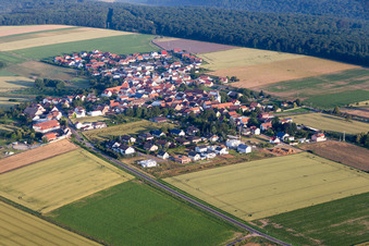 Luftbild von Dorf - Ansicht am Rande von landwirtschaftlichen Feldern und Nutzflächen in Orbis im Bundesland Rheinland-Pfalz, Deutschland