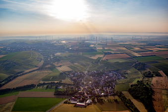 Wörrstadt/Rommersheim