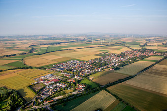 Dorf - Ansicht am Rande von landwirtschaftlichen Feldern und Nutzflächen in Undenheim im Bundesland Rheinland-Pfalz, Deutschland