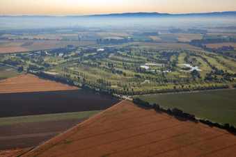 Gernsheim/Allmendfeld
