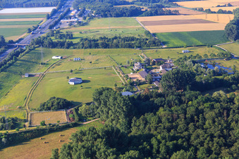 Gestüt Wolf in Bickenbach im Bundesland Hessen, Deutschland