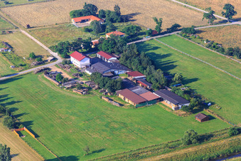 Außerhalb mit Osteopathische Pferde-und Hundetherapie, Tierkommunikation in Einhausen im Bundesland Hessen, Deutschland