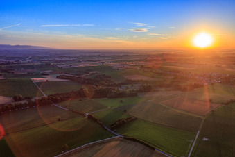 Sonnenaufgang über den Feldern der Südpfalz im Ortsteil Kleinsteinfeld in Niederotterbach im Bundesland Rheinland-Pfalz, Deutschland