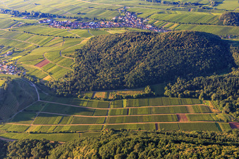 Weinberge im Ranschbachtal aus Norden in Birkweiler im Bundesland Rheinland-Pfalz, Deutschland