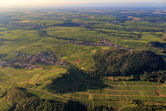 Weinlage Kastanienbusch aus Nordosten in Birkweiler im Bundesland Rheinland-Pfalz, Deutschland