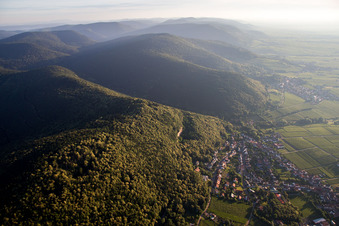 Luftbild von Dorf - Ansicht am Rande von Weinbergen am Haardtrand in Frankweiler im Bundesland Rheinland-Pfalz, Deutschland