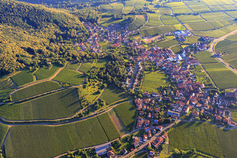 Weinberge beim Weingut Sankt Annaberg in Burrweiler im Bundesland Rheinland-Pfalz, Deutschland
