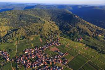 Oberdorf zwischen Weinbergen in Weyher in der Pfalz im Bundesland Rheinland-Pfalz, Deutschland