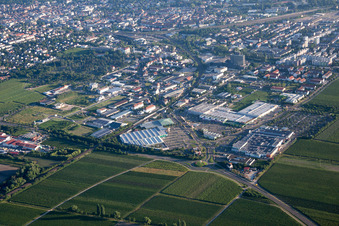 Globus Dehner in Neustadt an der Weinstraße im Bundesland Rheinland-Pfalz, Deutschland