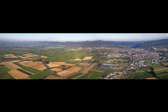Panorama der A65 in SÜW in Neustadt an der Weinstraße im Bundesland Rheinland-Pfalz, Deutschland