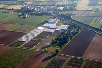 Enza Zaden Deutschland GmbH im Ortsteil Dannstadt in Dannstadt-Schauernheim im Bundesland Rheinland-Pfalz