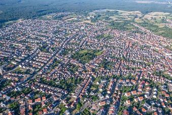 Luftbild von Stadtgebiet mit Außenbezirken und Innenstadtbereich in Schifferstadt im Bundesland Rheinland-Pfalz, Deutschland