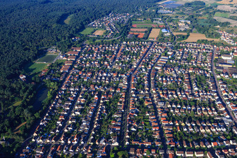 Ostring aus Nordosten in Schifferstadt im Bundesland Rheinland-Pfalz, Deutschland