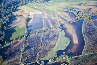 Insel Flotzgrün im Ortsteil Berghausen in Römerberg im Bundesland Rheinland-Pfalz, Deutschland