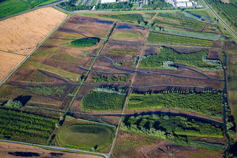 Biotope auf der Rheinschanzinsel in Philippsburg im Bundesland Baden-Württemberg, Deutschland