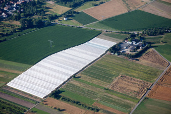Ortsteil Staffort in Stutensee im Bundesland Baden-Württemberg, Deutschland