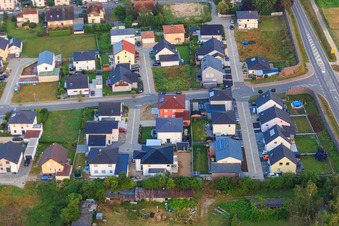 Luftaufnahme von Im Holderbusch in Minfeld im Bundesland Rheinland-Pfalz, Deutschland