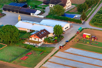 Schrägluftbild von Bauers Garten in Winden im Bundesland Rheinland-Pfalz, Deutschland