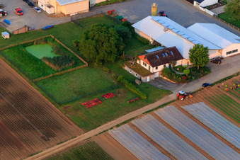 Bauers Garten in Winden im Bundesland Rheinland-Pfalz, Deutschland von oben