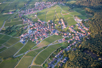 Luftbild von Dorf - Ansicht am Rande von landwirtschaftlichen Feldern und Nutzflächen in Gleiszellen-Gleishorbach im Bundesland Rheinland-Pfalz, Deutschland