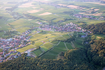 Ortsteil Gleiszellen in Gleiszellen-Gleishorbach im Bundesland Rheinland-Pfalz, Deutschland vom Flugzeug aus
