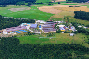 Hobstätterhof mit Der Pferdestall - Saloon in Einöllen im Bundesland Rheinland-Pfalz, Deutschland