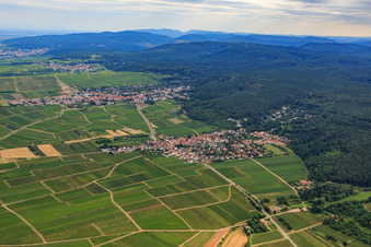 Winzerort am Hardtrand aus Norden in Bobenheim am Berg im Bundesland Rheinland-Pfalz, Deutschland