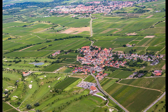 Dackenheim, Golfplatz im Bundesland Rheinland-Pfalz, Deutschland von einer Drohne aus