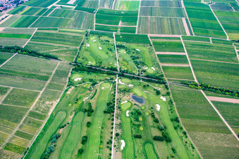 Dackenheim, Golfclub im Bundesland Rheinland-Pfalz, Deutschland
