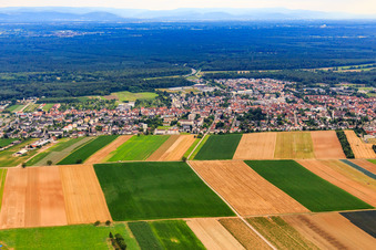 Stadtansicht Am Wasserturm von Norden in Kandel im Bundesland Rheinland-Pfalz, Deutschland