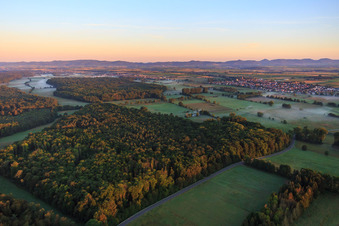 Bienwald, Viehstrich, Otterbachniederung am Morgen in Freckenfeld im Bundesland Rheinland-Pfalz, Deutschland