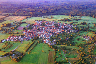 Dorfansicht auf einer Waldlichtung im Bienwald von Norden im Ortsteil Büchelberg in Wörth am Rhein im Bundesland Rheinland-Pfalz, Deutschland