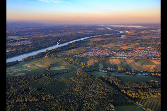 Luftaufnahme von Rhein und Dorfansicht am Morgen aus Norden in Neuburg am Rhein im Bundesland Rheinland-Pfalz, Deutschland