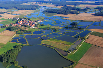 Karpfenteiche der Fränkischen Fischweiherlandschaft im Ortsteil Oberlindach in Weisendorf im Bundesland Bayern, Deutschland
