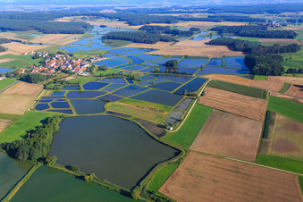 Luftbild von Karpfenteiche der Fränkischen Fischweiherlandschaft im Ortsteil Oberlindach in Weisendorf im Bundesland Bayern, Deutschland