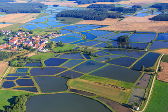 Luftaufnahme von Karpfenteiche der Fränkischen Fischweiherlandschaft im Ortsteil Oberlindach in Weisendorf im Bundesland Bayern, Deutschland